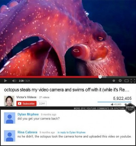 Youtube octopus